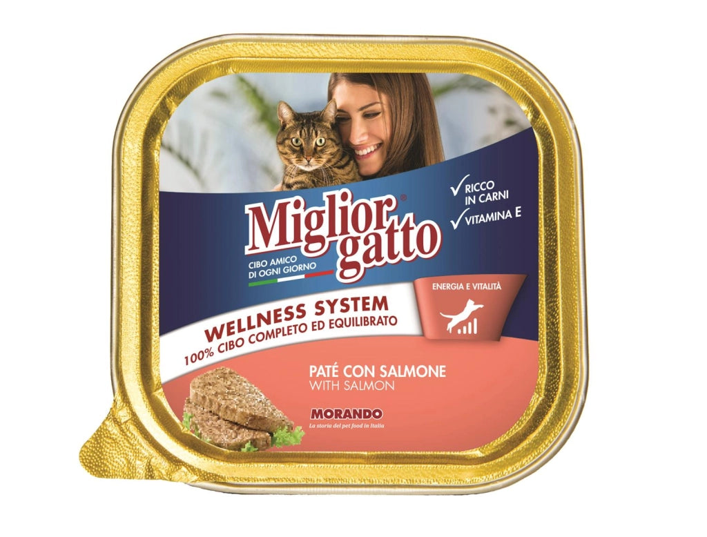 SET 32 CONFEZIONI MIGLIOR GATTO PATE' CON SALMONE 100 GR