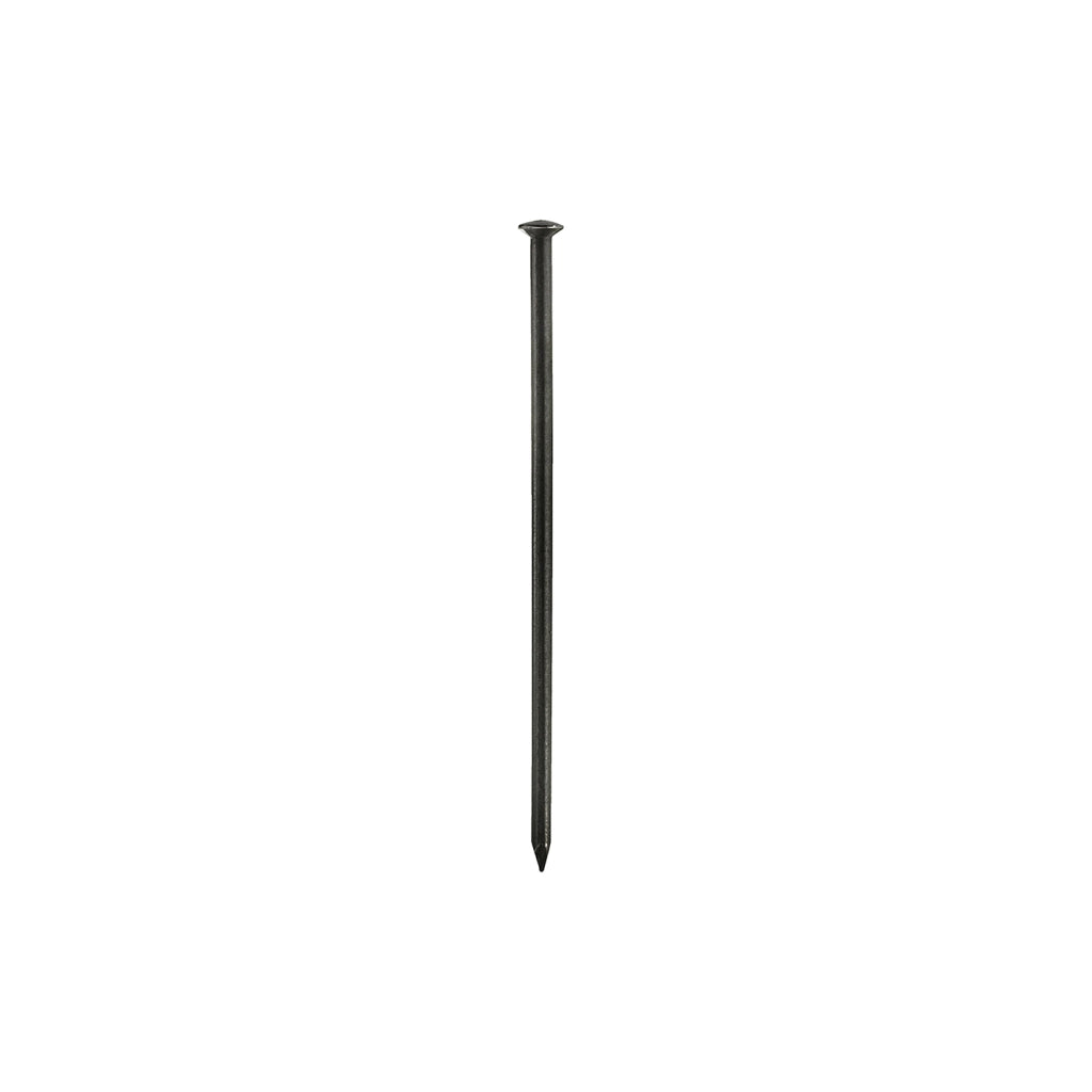 Chiodi testa bombata 2,0 x 30 - 50 pz.