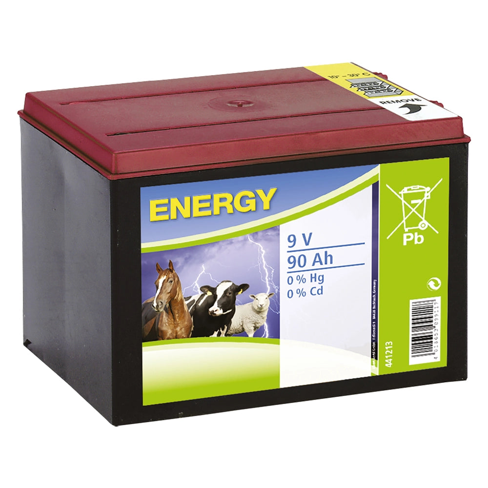 Batteria per Elettrificatore Albert Kerbl 9v 90 Ah