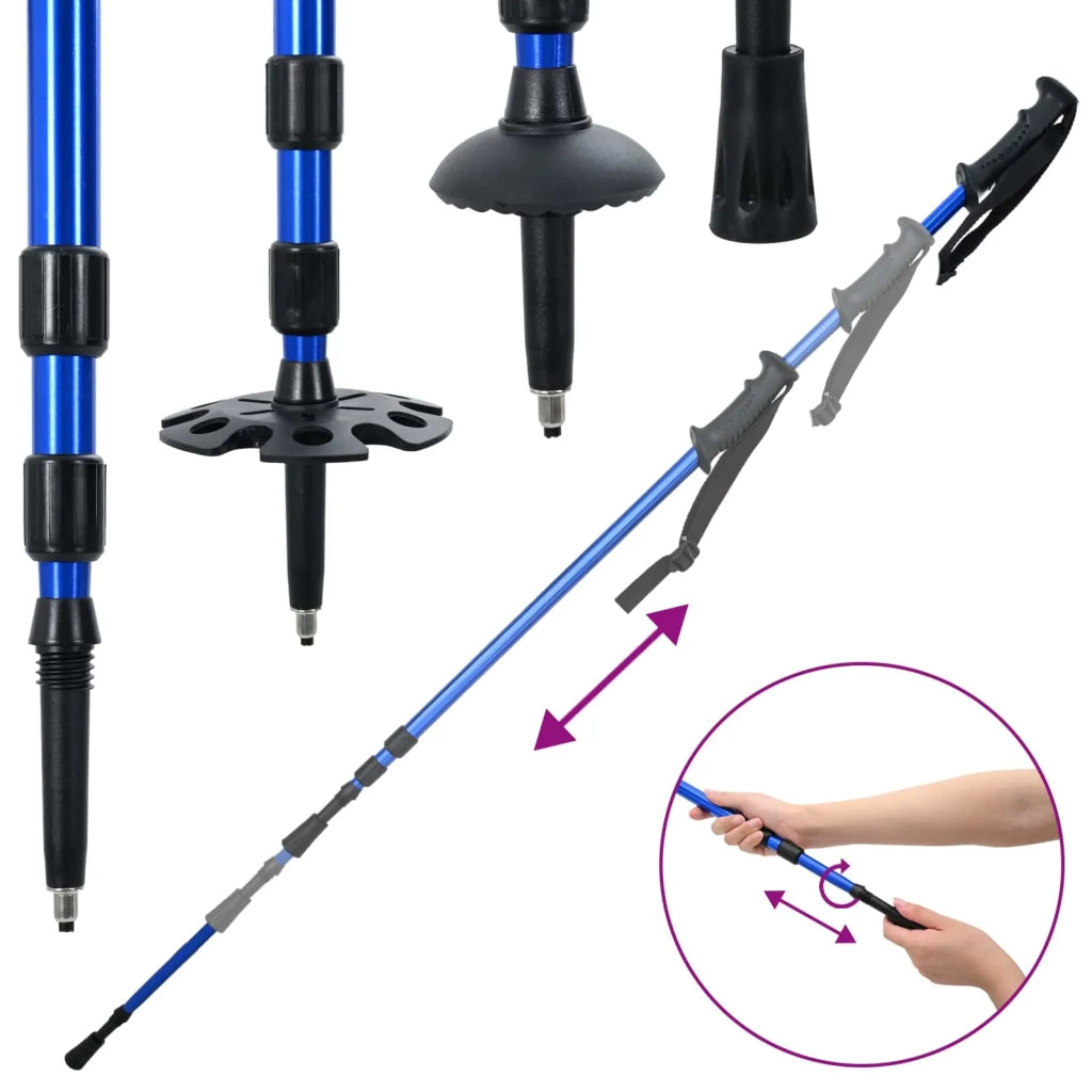 Racchette da neve 3 in 1 con bastoni da trekking Blu e Nero CFW2393881