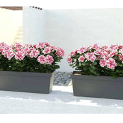 BALCONETTA COLORADO 50 SOTTOV.+KIT GRIPPO Tortora
