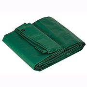 Telo Telone Occhiellato 4x4 mt Antistrappo Impermeabile colore Verde 110 gr./mq.