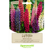 SEMI PER PRATO UNIVERSALE lupino perenne miscuglio- 20 pezzi  - SGARAVATTI