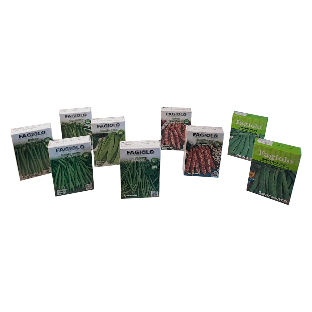 Semi per Fagioli Fagiolo Borlotto Nano Lingua di Fuoco 5 Pezzi 100 Gr
