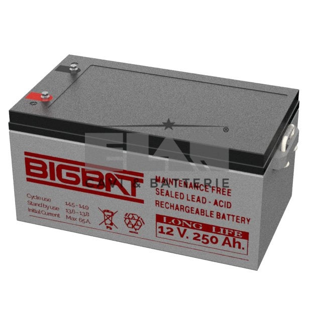 BATTERIA ELAN BIGBAT AL PIOMBO 12V 250Ah LONG LIFE 01295