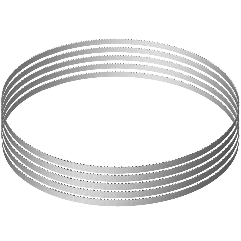 Set da 5 Pezzi S-1650 Nastri per Segaossa in Acciaio al Carbonio 1650 x 16 x 0,56 mm, Ricambi Robusti e Durevoli per Segatrice da Banco
