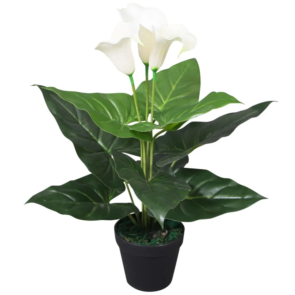 Calla Lily Artificiale con Vaso 45 cm Bianca 244443