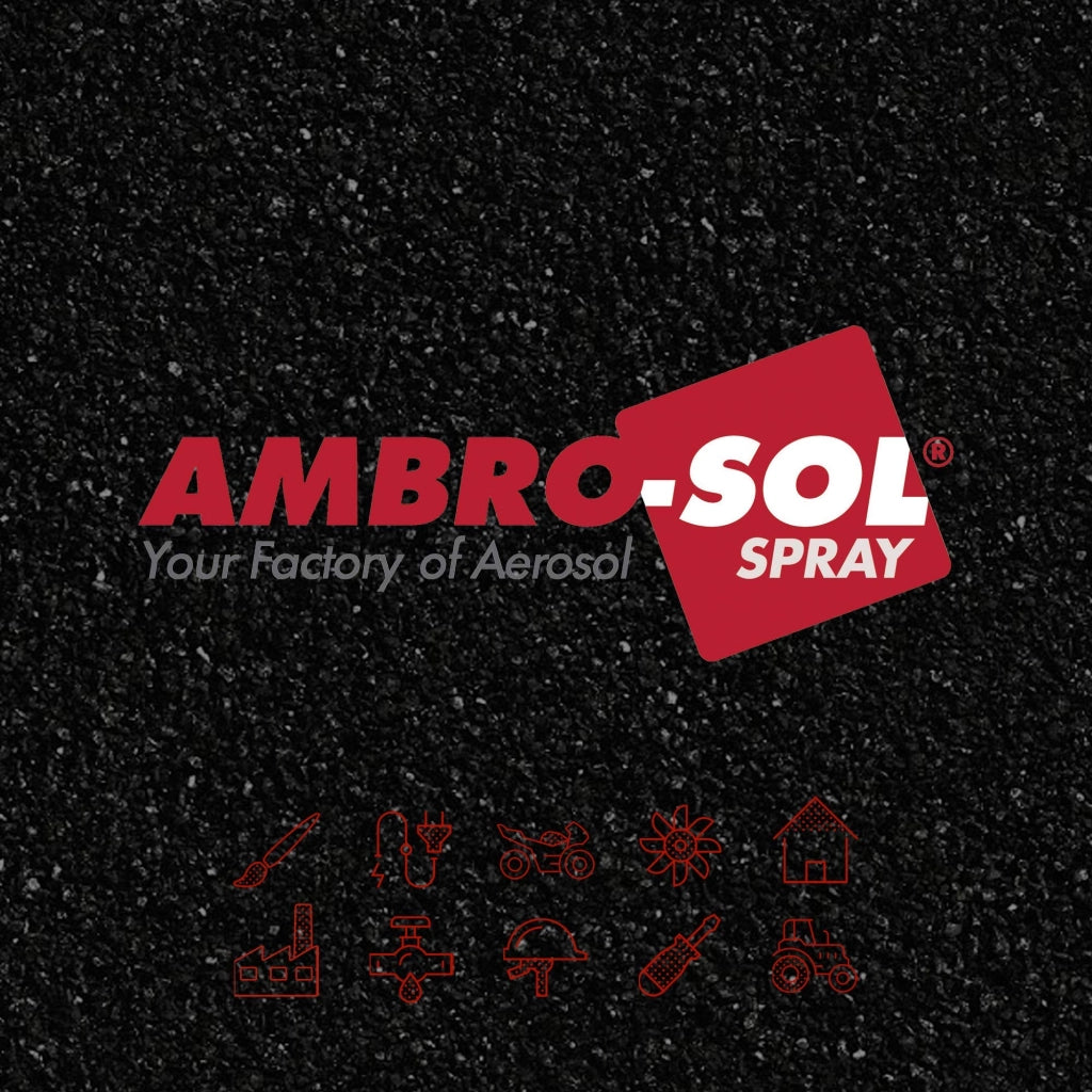 Bomboletta Spray Coprimacchia 500 ml Ambrosol 6 Pezzi
