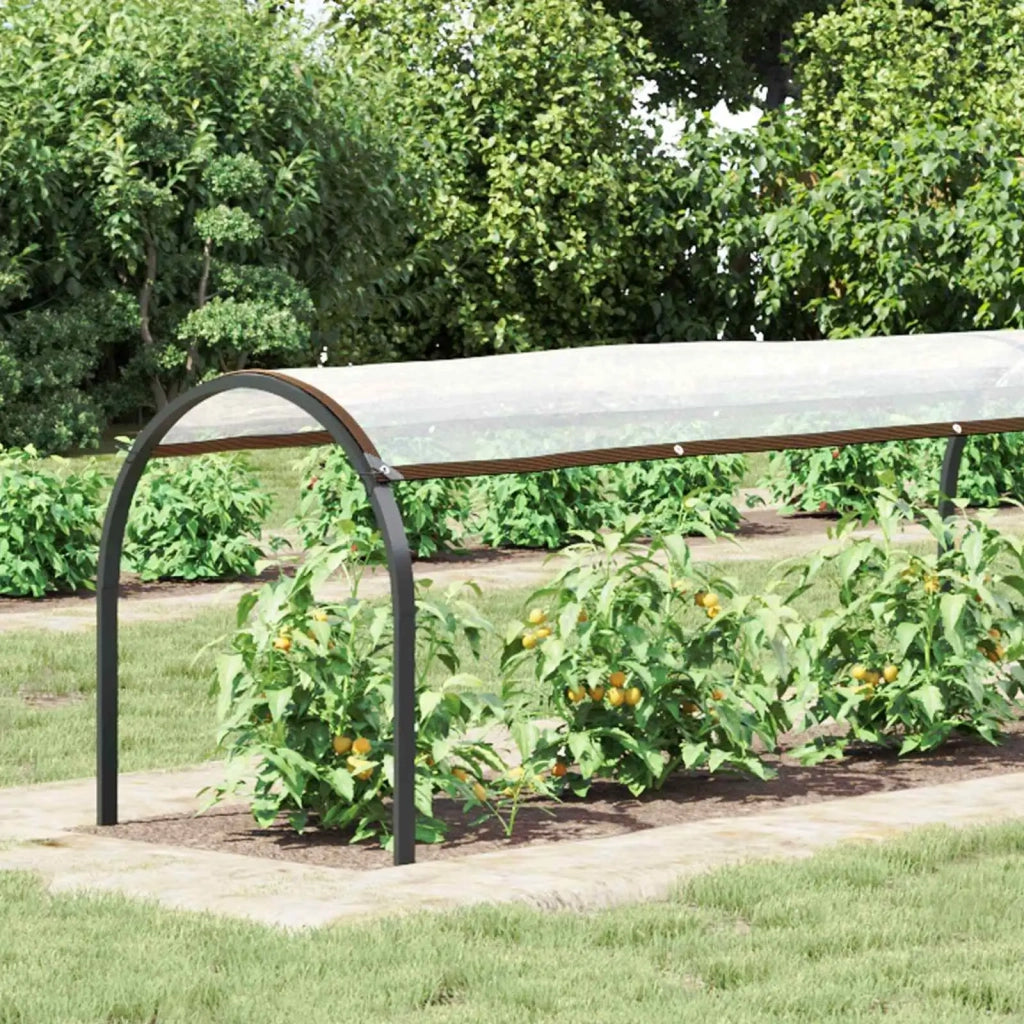Copertura per Piante Trasparente 20 x 1,5 m PE 3429338