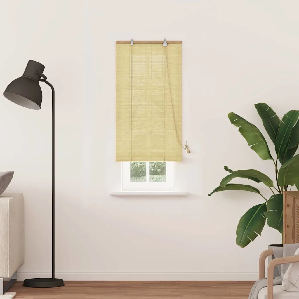Tenda a rullo Natura 60 x 220 cm Bambù 42006879