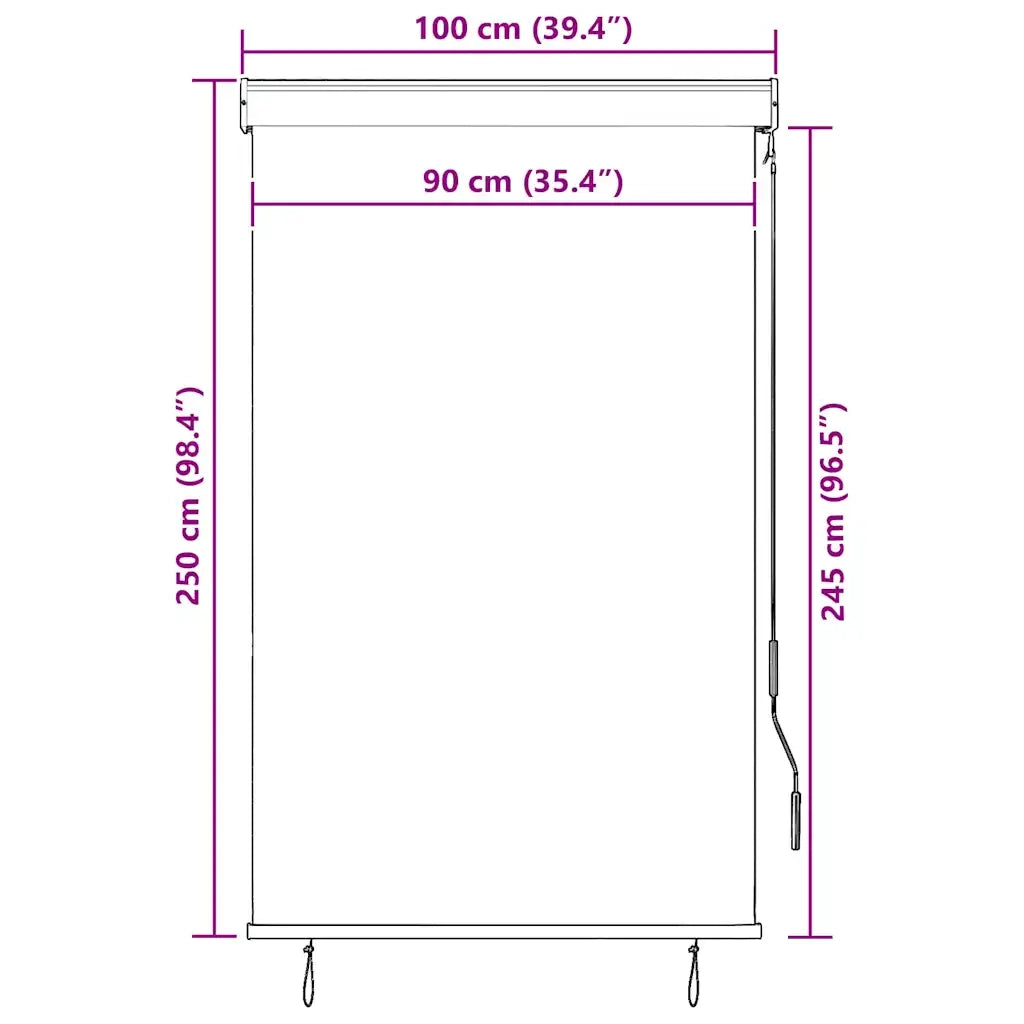 Tenda a rullo | Tenda avvolgibile per Esterni 100x250 cm Blu e Bianca