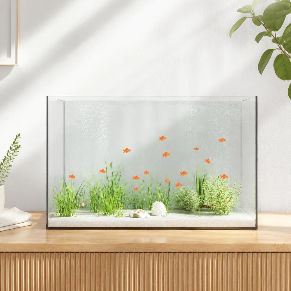 Acquario Con Archiviazione Trasparente 60 X 35 X 40 Cm Vetro