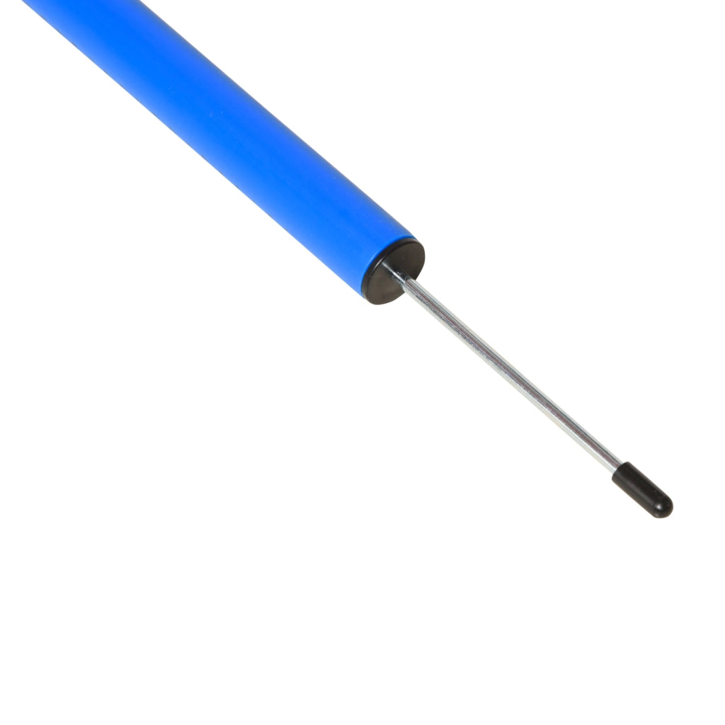 Set Agilit¨¤ per Cani ¨C Minimal ¨C Blu e Giallo