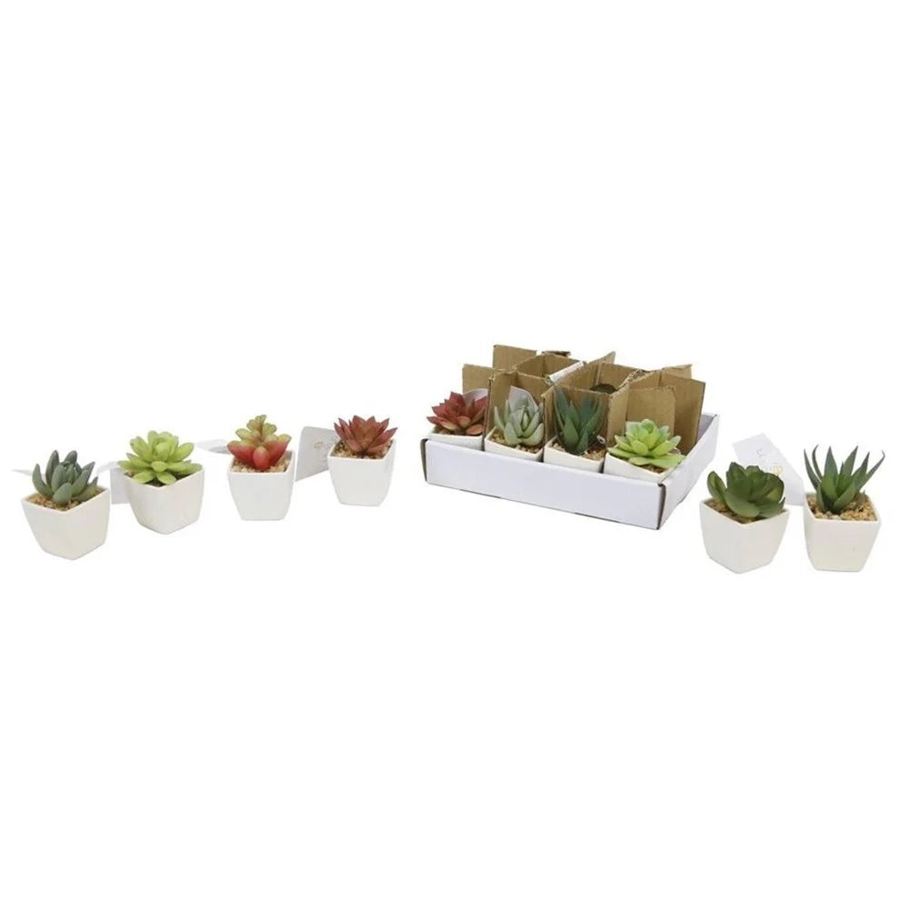 Trade Shop - Set 12pz Mini Pianta Grassa Artificiale Con Vaso In Porcellana Bianco 5x5x8cm 210921 -