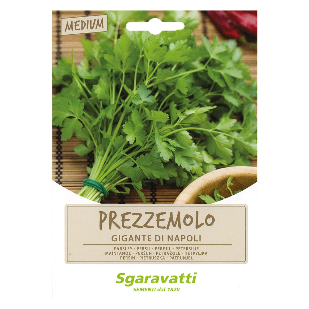 SEMI PER ORTAGGI E VEGETALI prezzemolo gigante Napoli- 10 pezzi  - SGARAVATTI