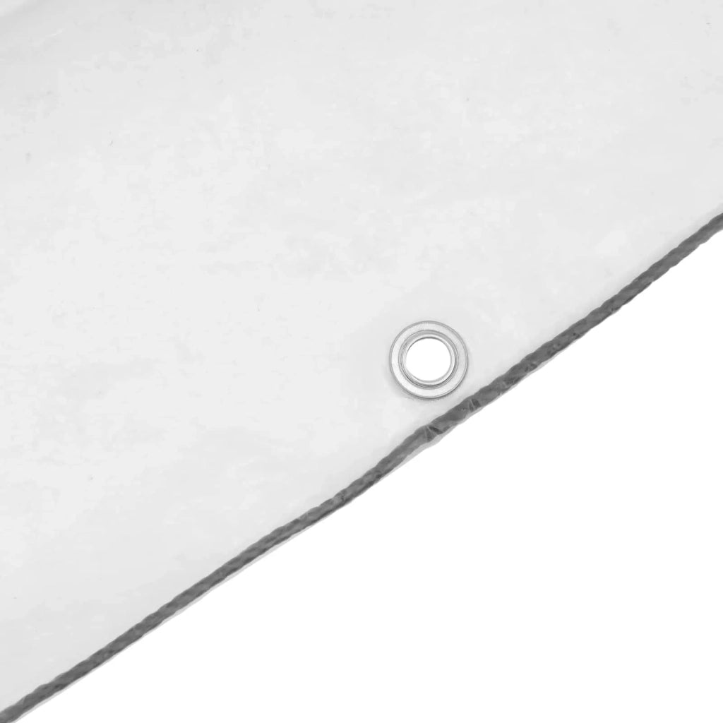 Copertura per Piante Trasparente 5 × 3,5 m PE 3429304