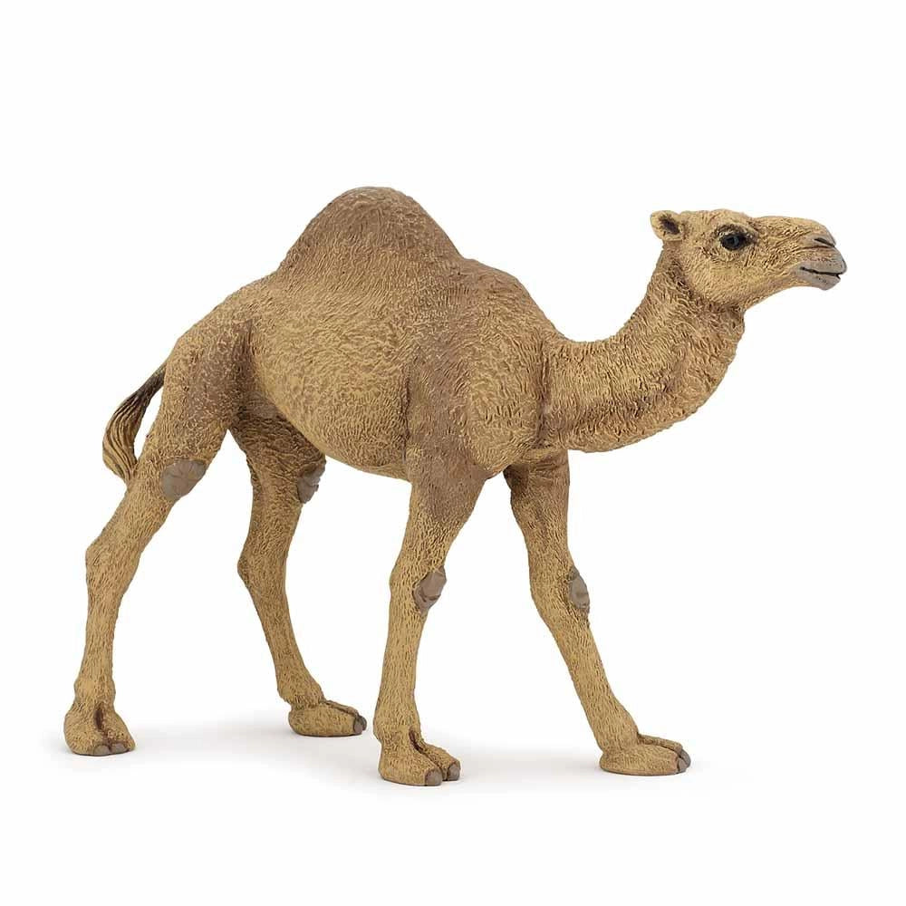 Papo - Dromedary