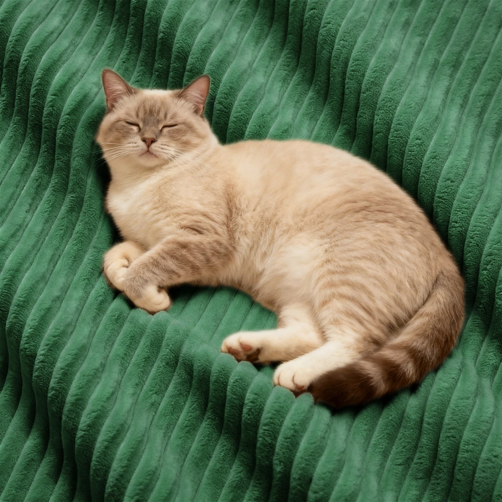 Divano modulare senza ossa - Zephmum- 4 posti verde corduroy