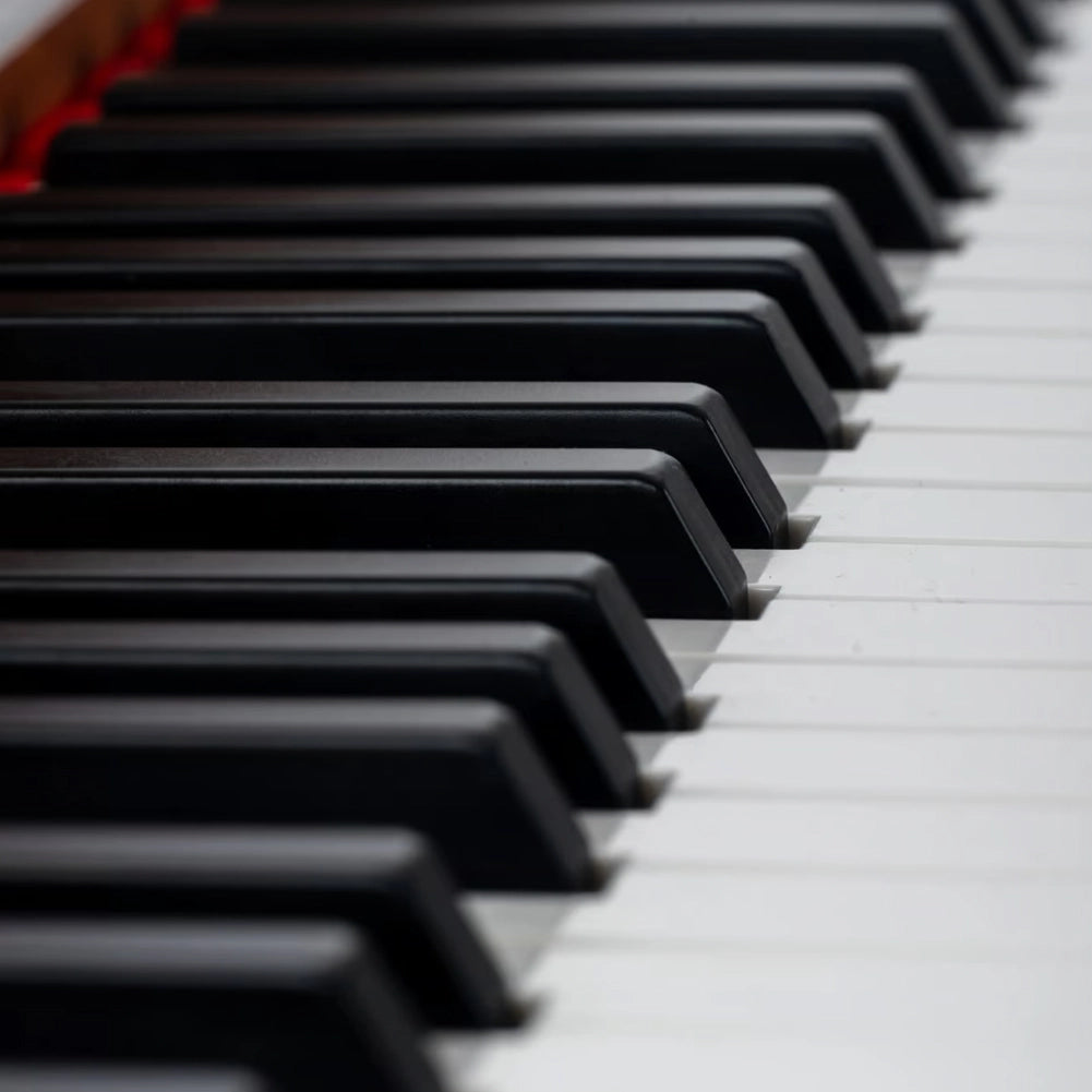 Tastiera Musicale Pianoforte Elettrico con 88 Tasti 3 Pedale e 80 Demo Marrone