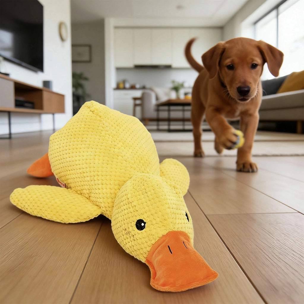 Giocattolo per cani a forma di anatra con squeaker