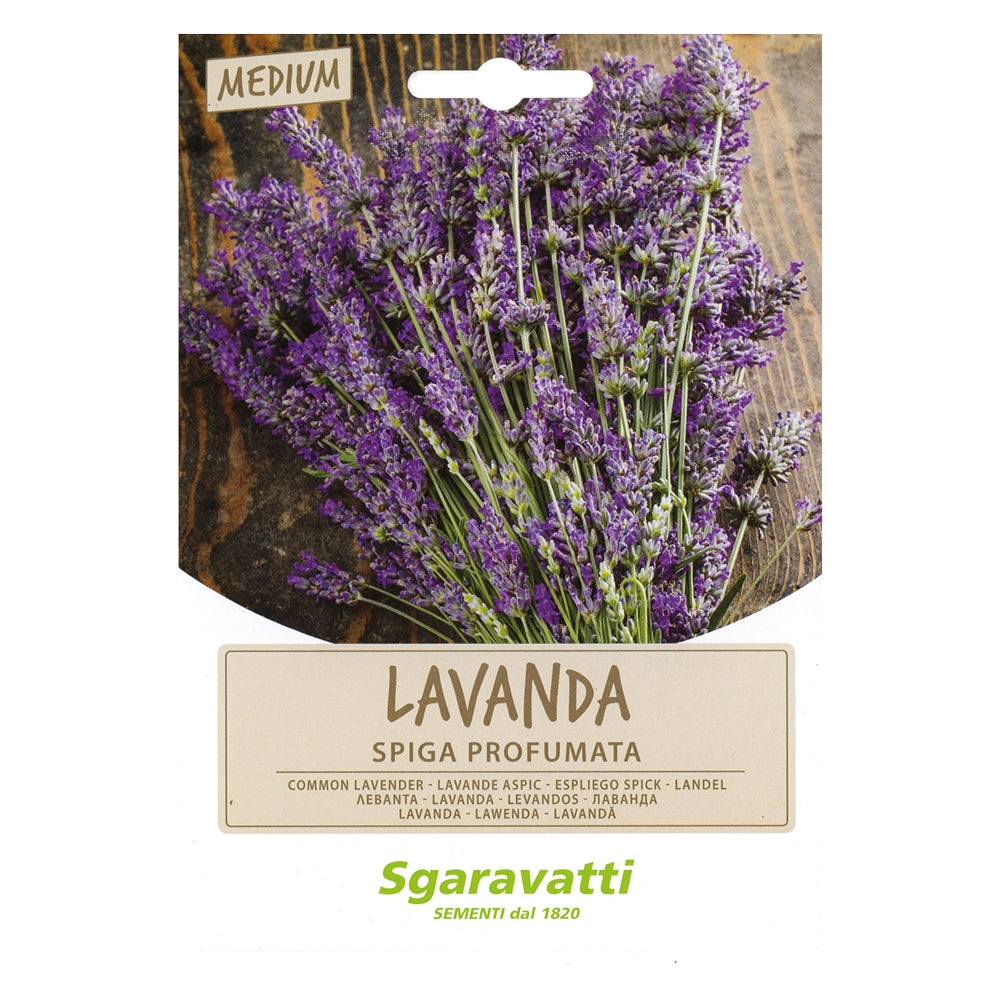 Semi per Ortaggi e Vegetali Lavanda Spiga Sgaravatti 20 Pezzi