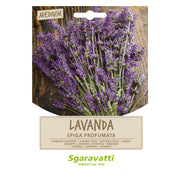 Semi per Ortaggi e Vegetali Lavanda Spiga Sgaravatti 20 Pezzi