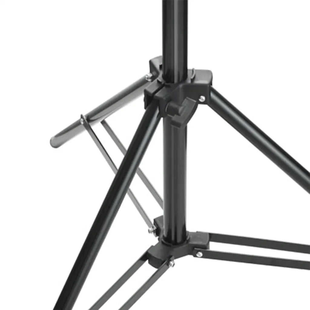 Kit per Studio Fotografico con Set di Luci e Fondale 3094652