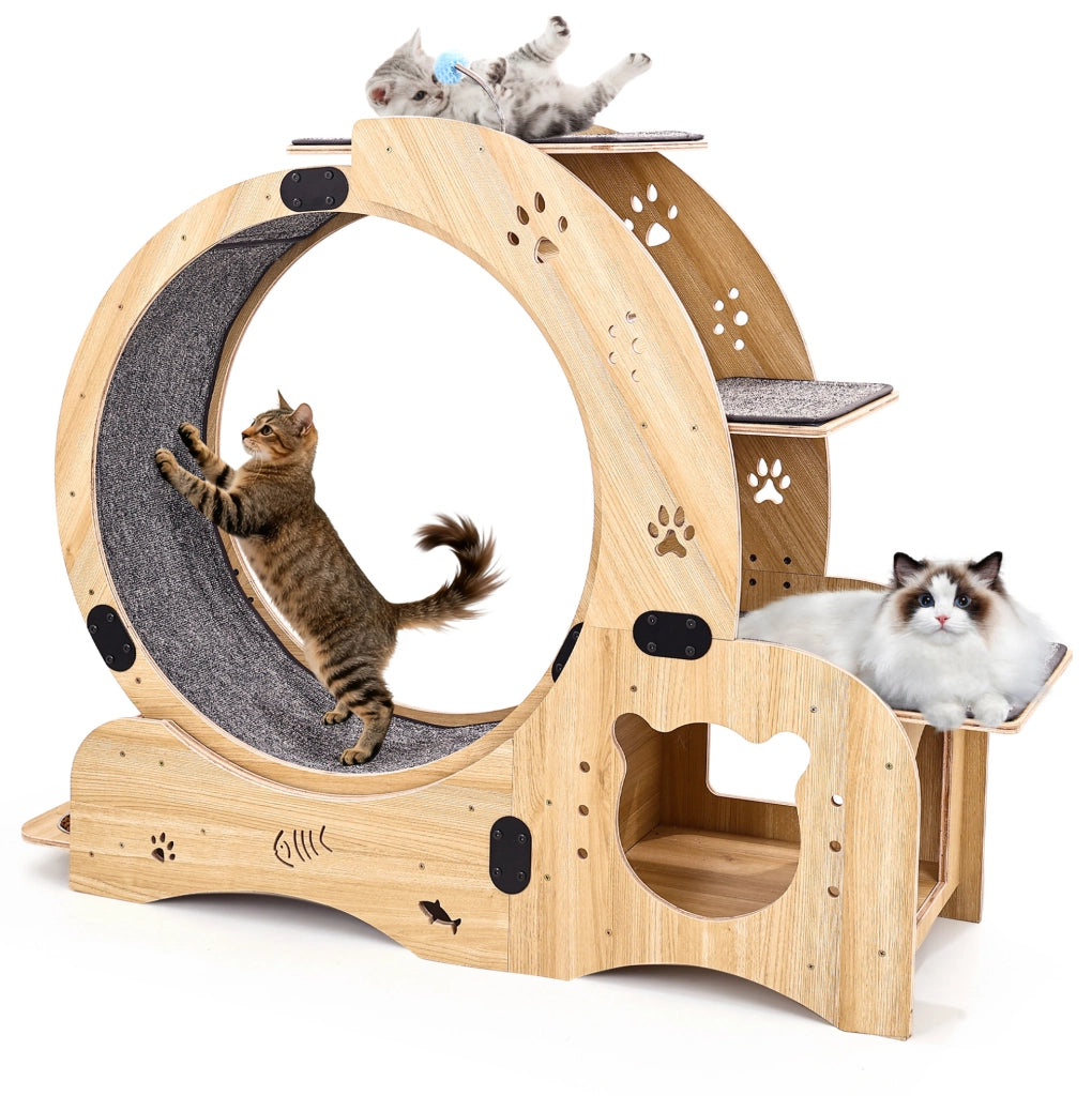 RUOTA PER GATTI 6-in-1 in legno naturale, grande, per interni