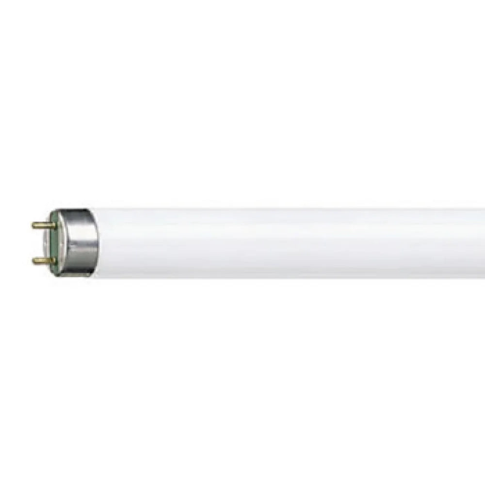 Lampada philips master tl-d supe r 80 36w cooldaylight lf3686 b08lw69k