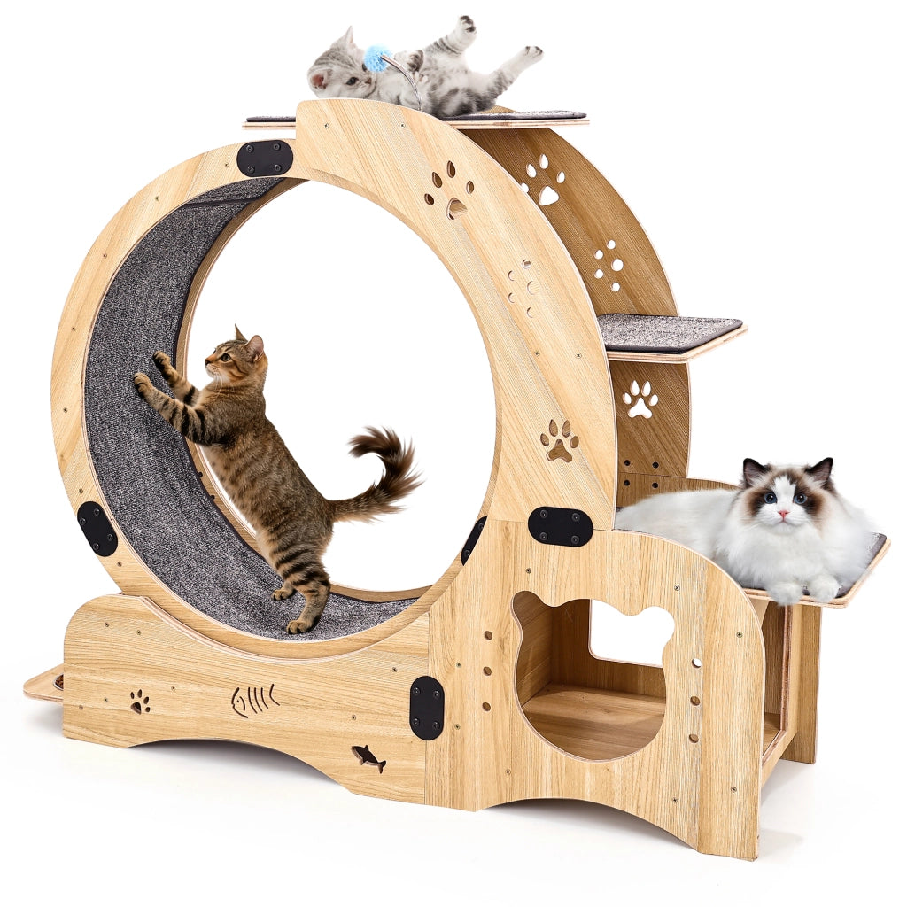 Ruota per esercizi gatto 6 in 1 ¨C Minimal ¨C Design silenzioso per gatti da interno