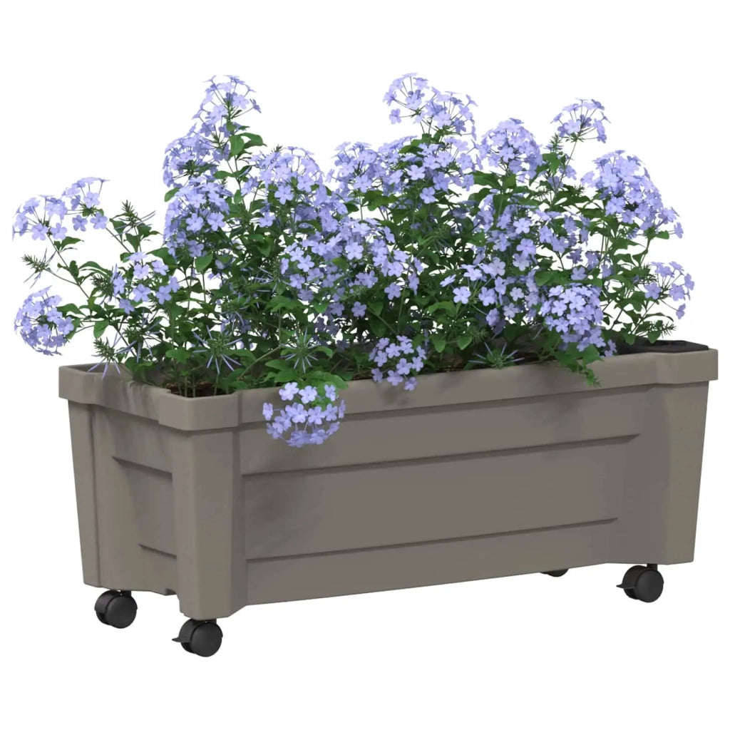 Vaso Calypso con Ruote Grigio 79 x 35 x 33 cm PP 42041720