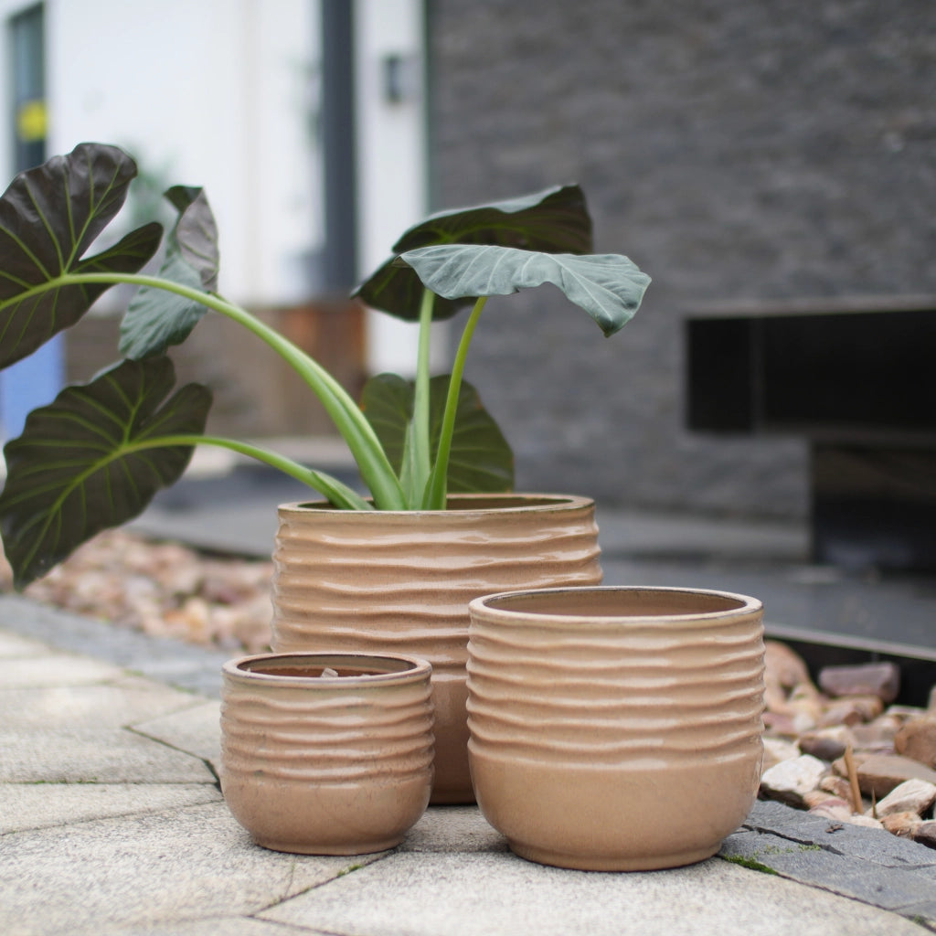 VASI Set da 3 pezzi Ø 36/26/20 cm Ceramica Marrone chiaro