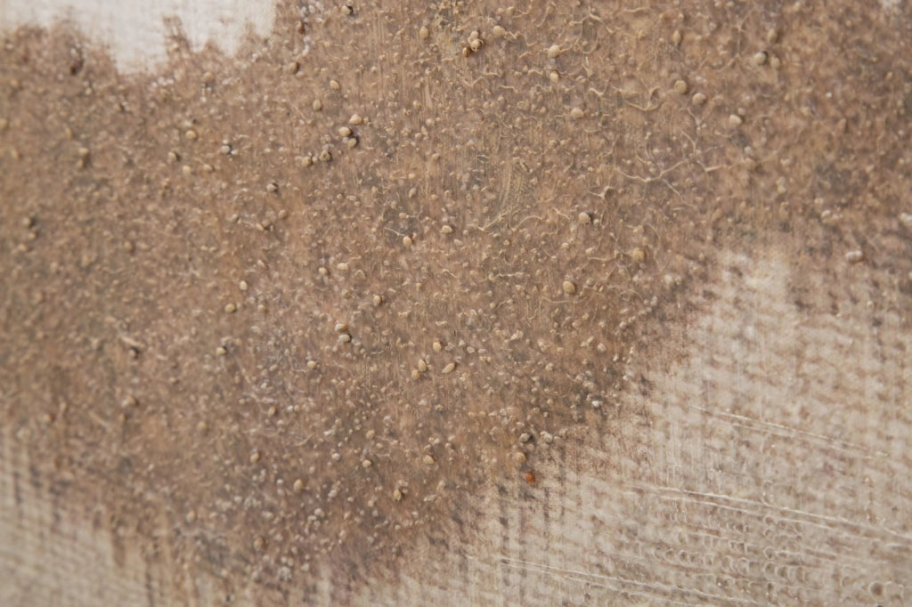 Dipinto su Tela Browny 80x3,7x100 cm in Legno e Tessuto