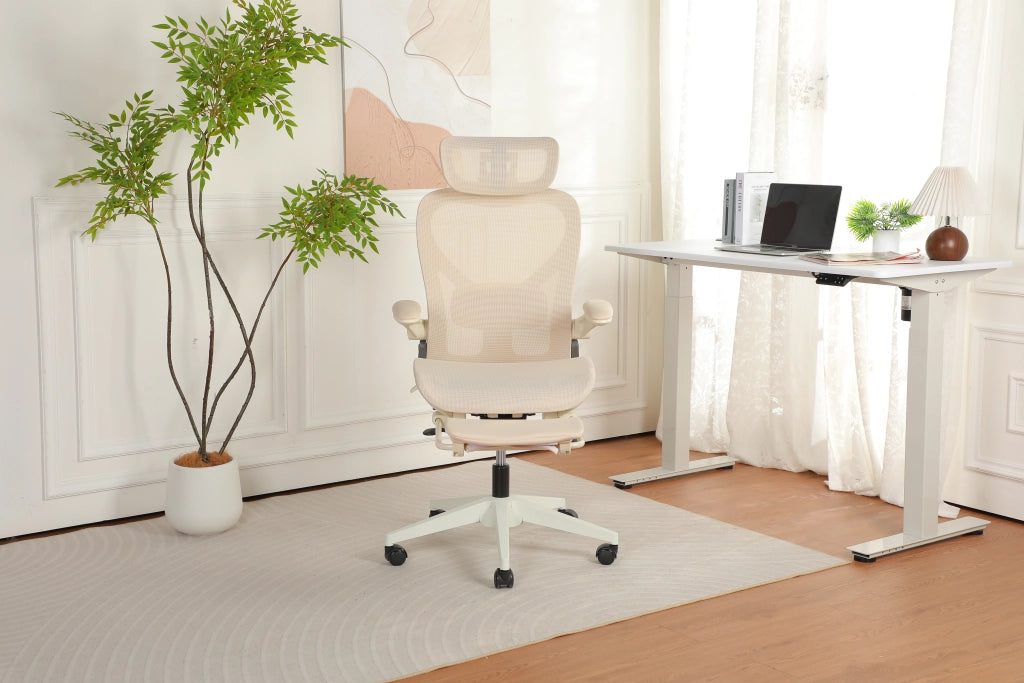 Sedia da ufficio ergonomica pieghevole ¨C Xylo ¨C crema
