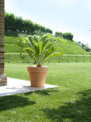 Vaso Standard One 140 Materiale: Polietilene, Colore: Antracite