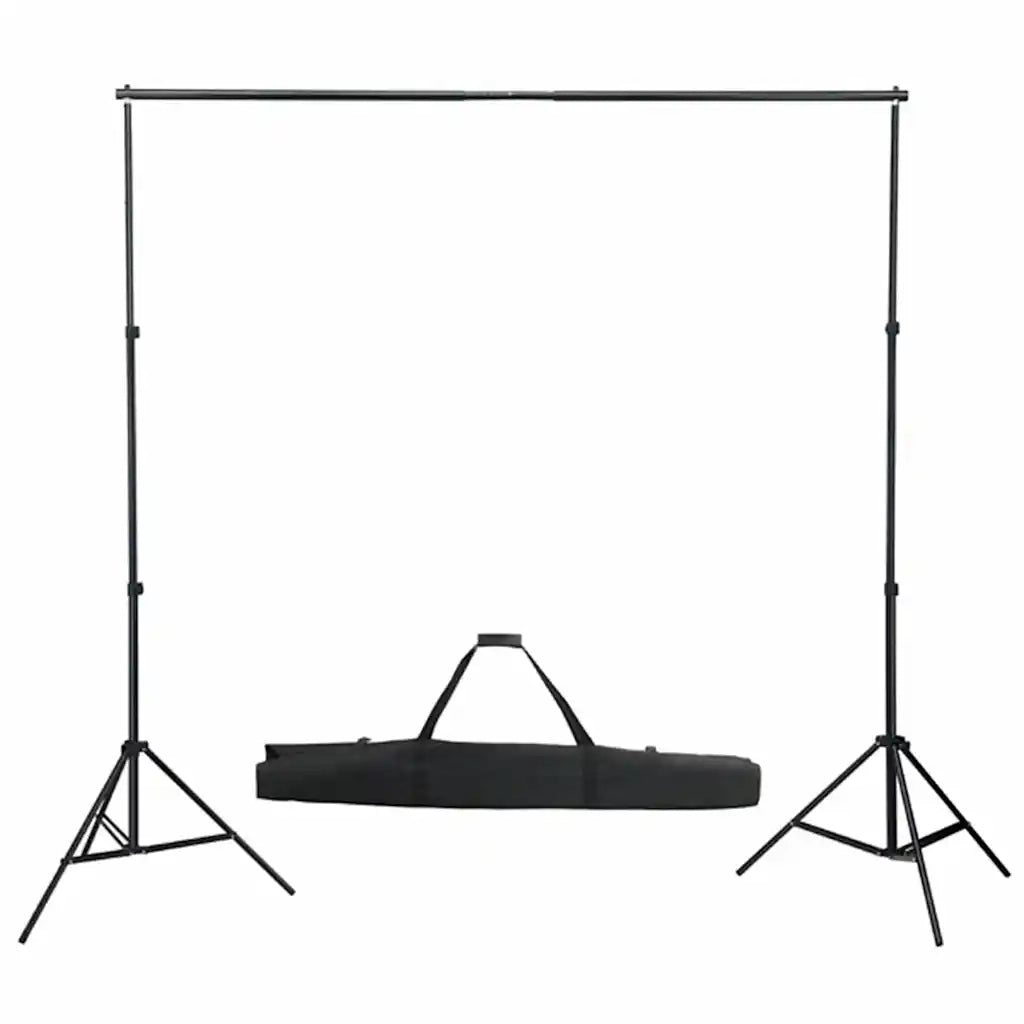 Kit per Studio Fotografico con Set Luci, Fondale e Riflettore 3094694