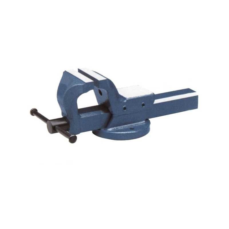 Morsa Acciaio Fissa 100 Ariex