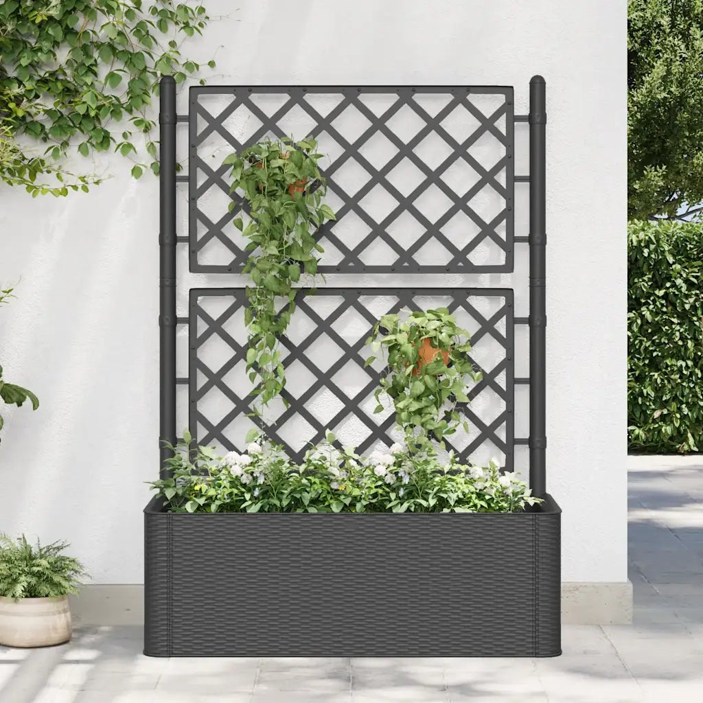 Letto Rialzato da Giardino Graticcio e Irrigazione Antracite