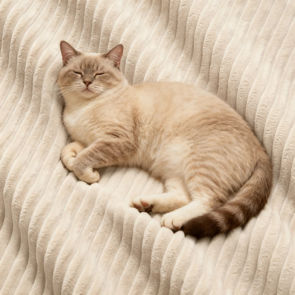 Sof¨¤ modulare senza ossa - Zephmum - 4 posti, design antiscivolo, velluto a coste beige