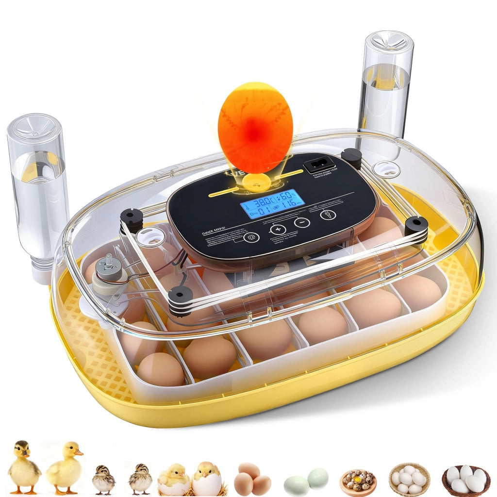 Incubatrice Automatica per 24 Uova DLM-24 in ABS e PET con Candela LED Display Digitale Vista 360 Gradi per Schiusa Pulcini
