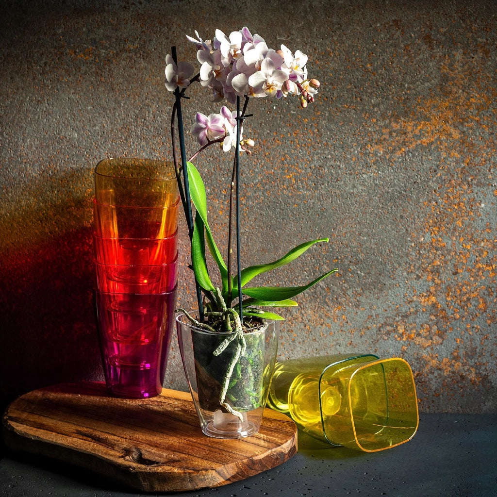 Vaso da fiori KADAX per orchidee, in plastica, arancione, 13 cm