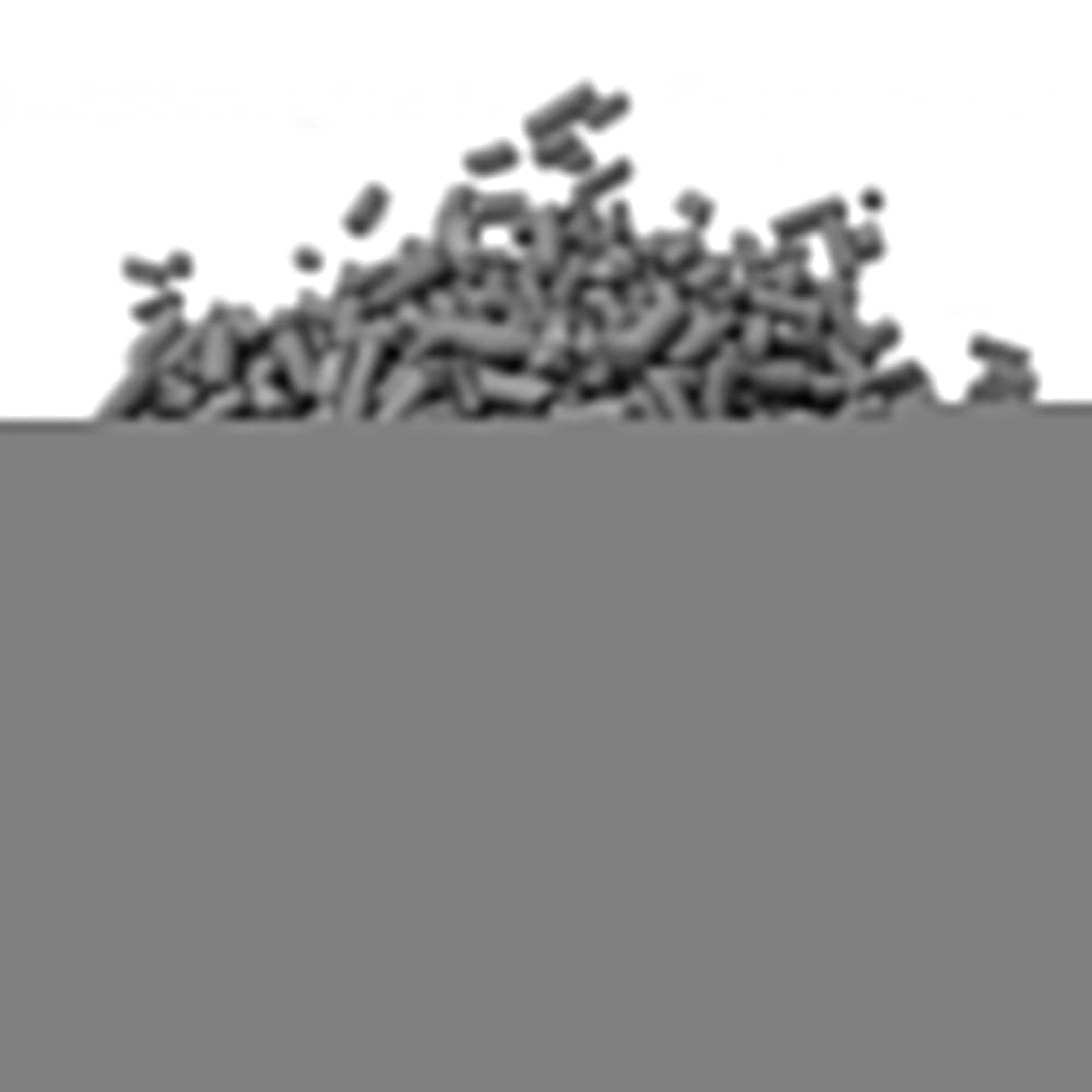 Whimar AquaPure Carbon Major P - carbone superattivo in pellet da 4mm Formato: 5 L