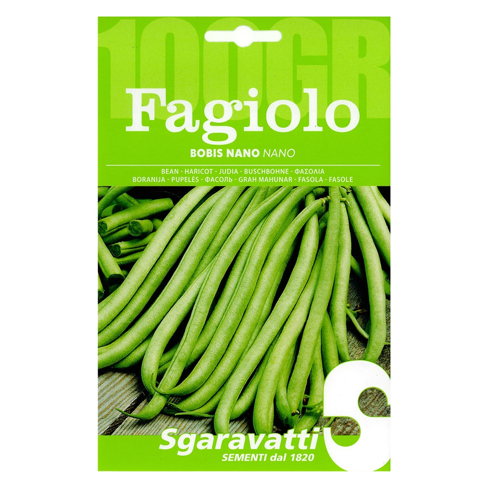 Semi per Fagioli Fagiolo Bobis Sgaravatti Bianco 250 Gr