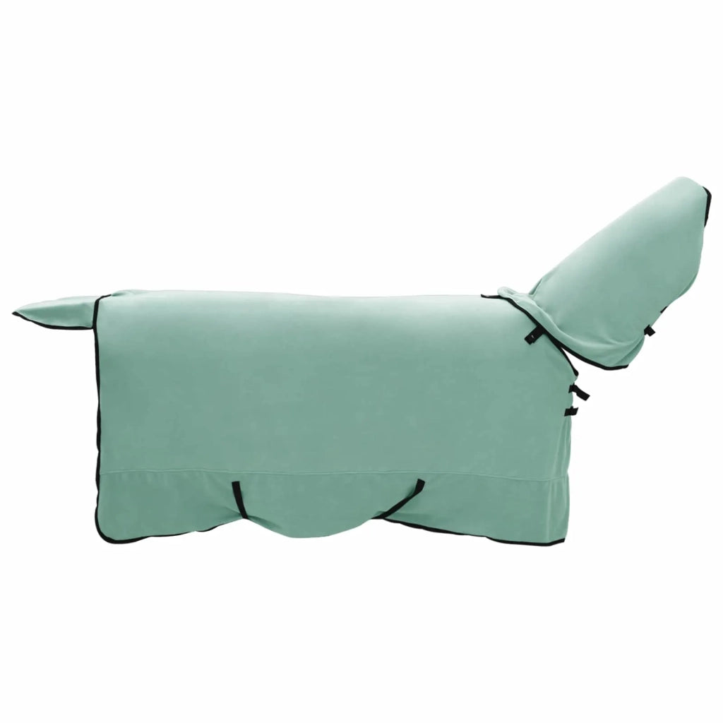Coperta per Cavalli Verde speciale 165 cm Poliestere 42013316