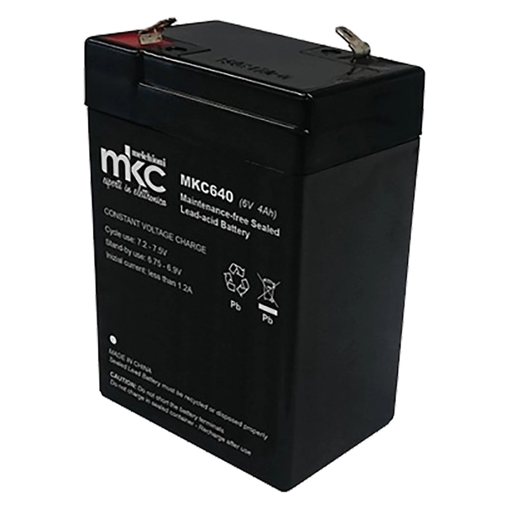1pz batteria ricaricabile mm.70 x 47 x h.106 - 4 ah cod:ferx.807300nlm