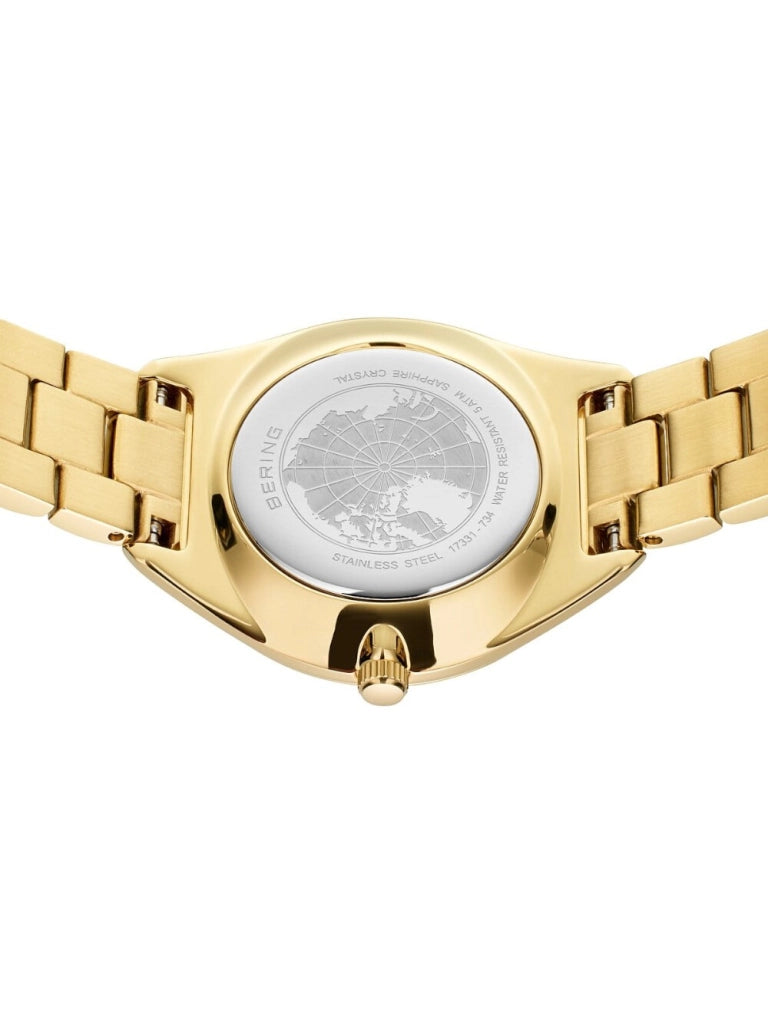 BERING Mod. 17331-734