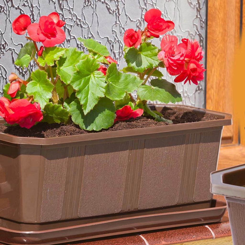 KADAX Fioriera da balcone 80 cm Supporto per vaso Maniglie 4 pezzi