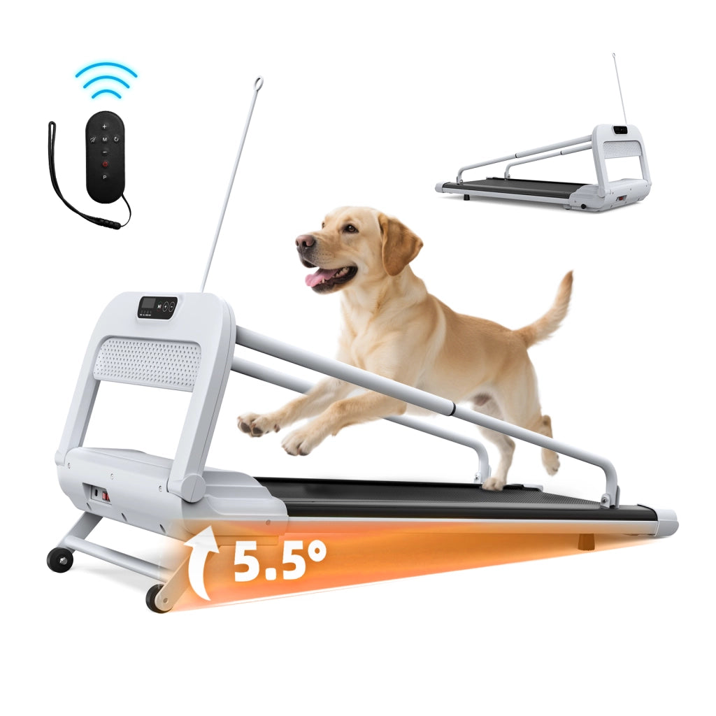 Tapis roulant intelligente per cani piccoli e medi, velocità regolabile, silenzioso