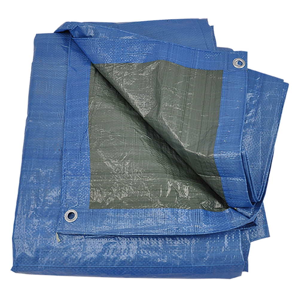 TELONE OCCHIELLATO mt 10 x  6 - 110 gr/mq.  - LIF