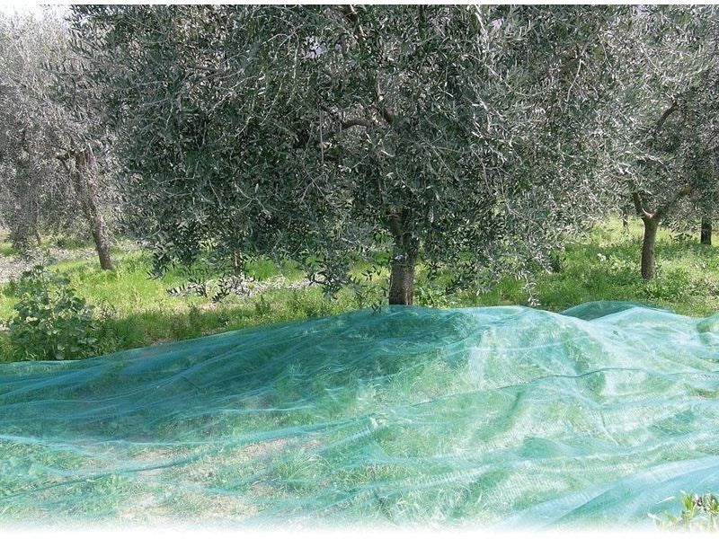 Rete raccolta olive telo 6x12 mt antispina e antistrappo 85 grammi mq